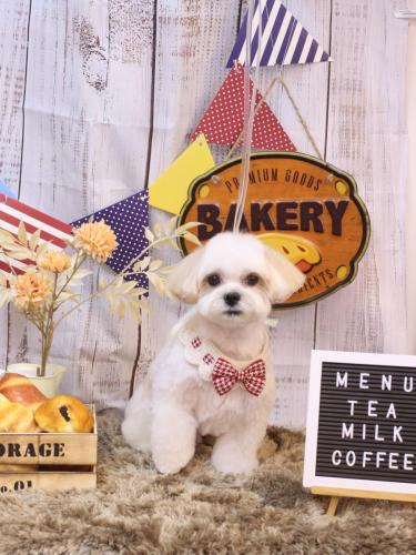 20240914ふくくん